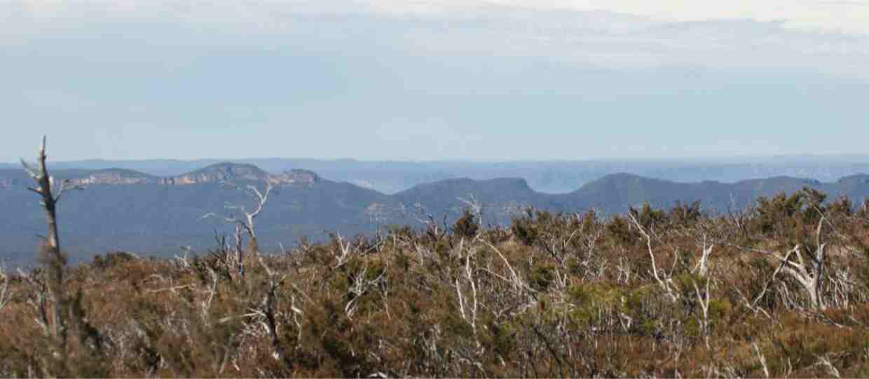 Kanangra Plateau